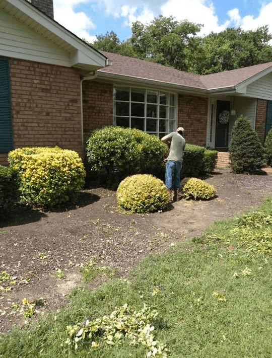 Landscaping & Hardscaping